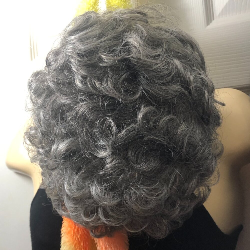 NWT TWC Basics Wig Style: ROSE Color: K519 Size: Average Salt & Pepper Gray Grey